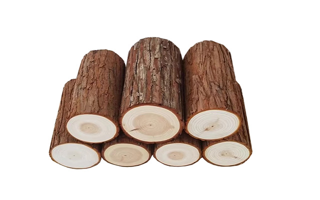 Bisakah Veneer Kayu Diampelas dan Dihaluskan?