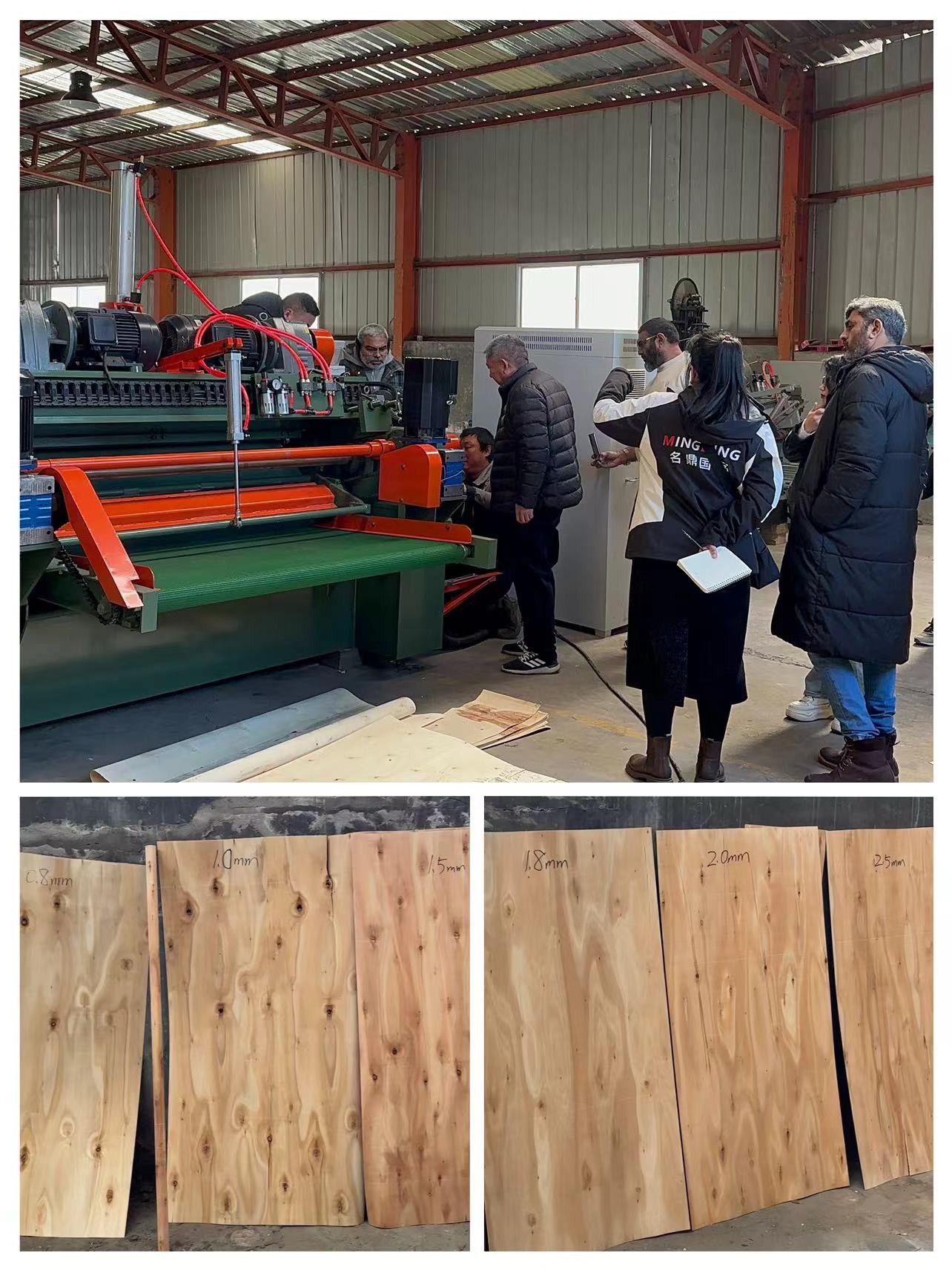 Pelanggan Asia Memeriksa Pabrik Teknologi D MingDing